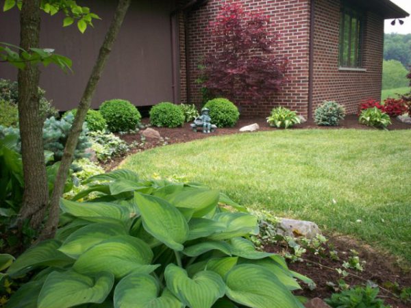 Highland Landscaping | Nursery | Lawn Care | Landscape Design ...